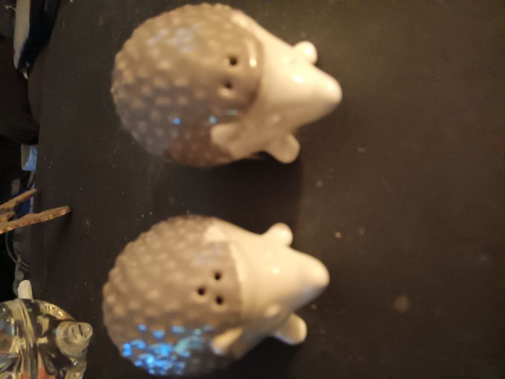 Hedgehog salt and pepper shakers